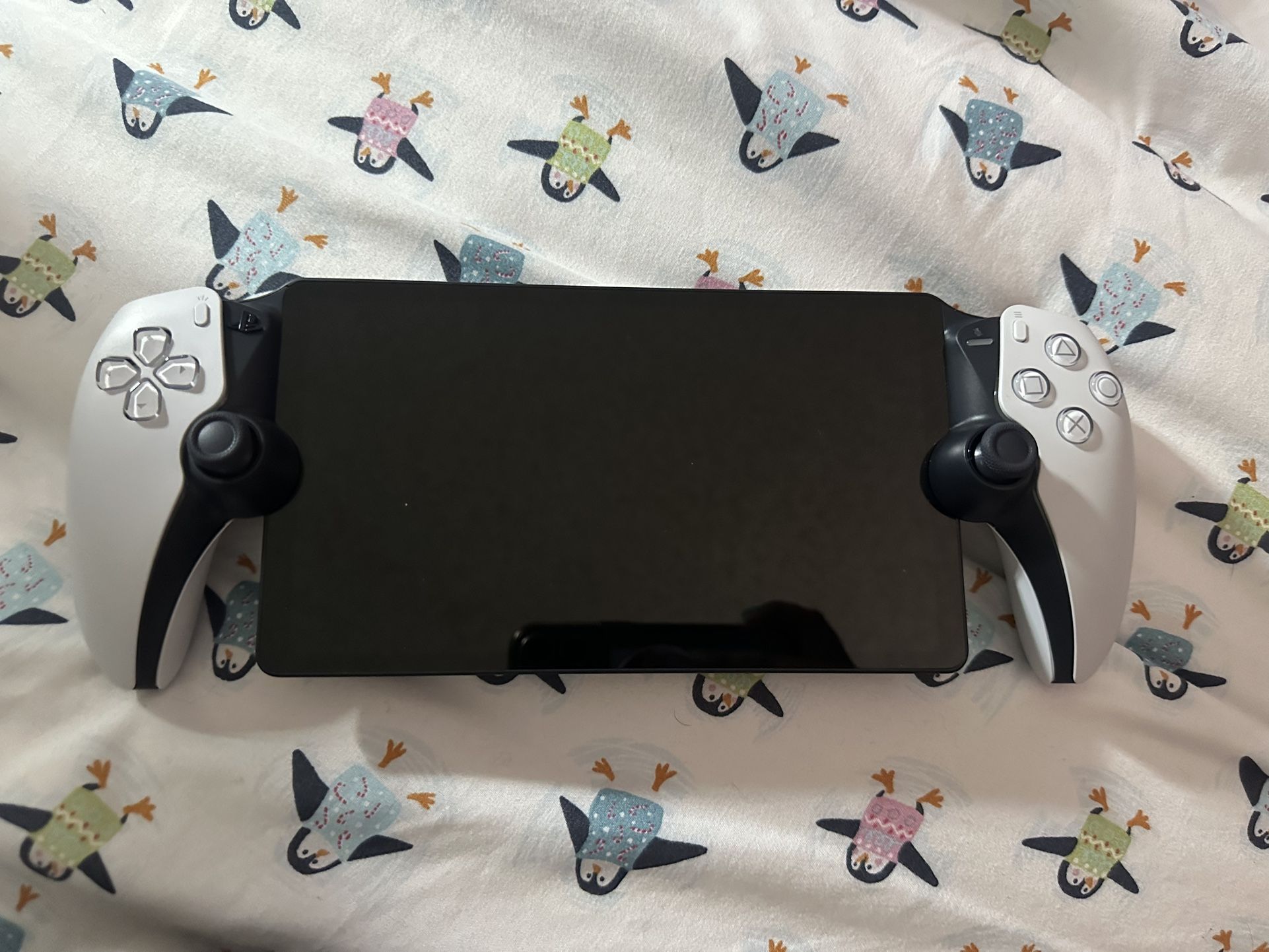 PlayStation Portal