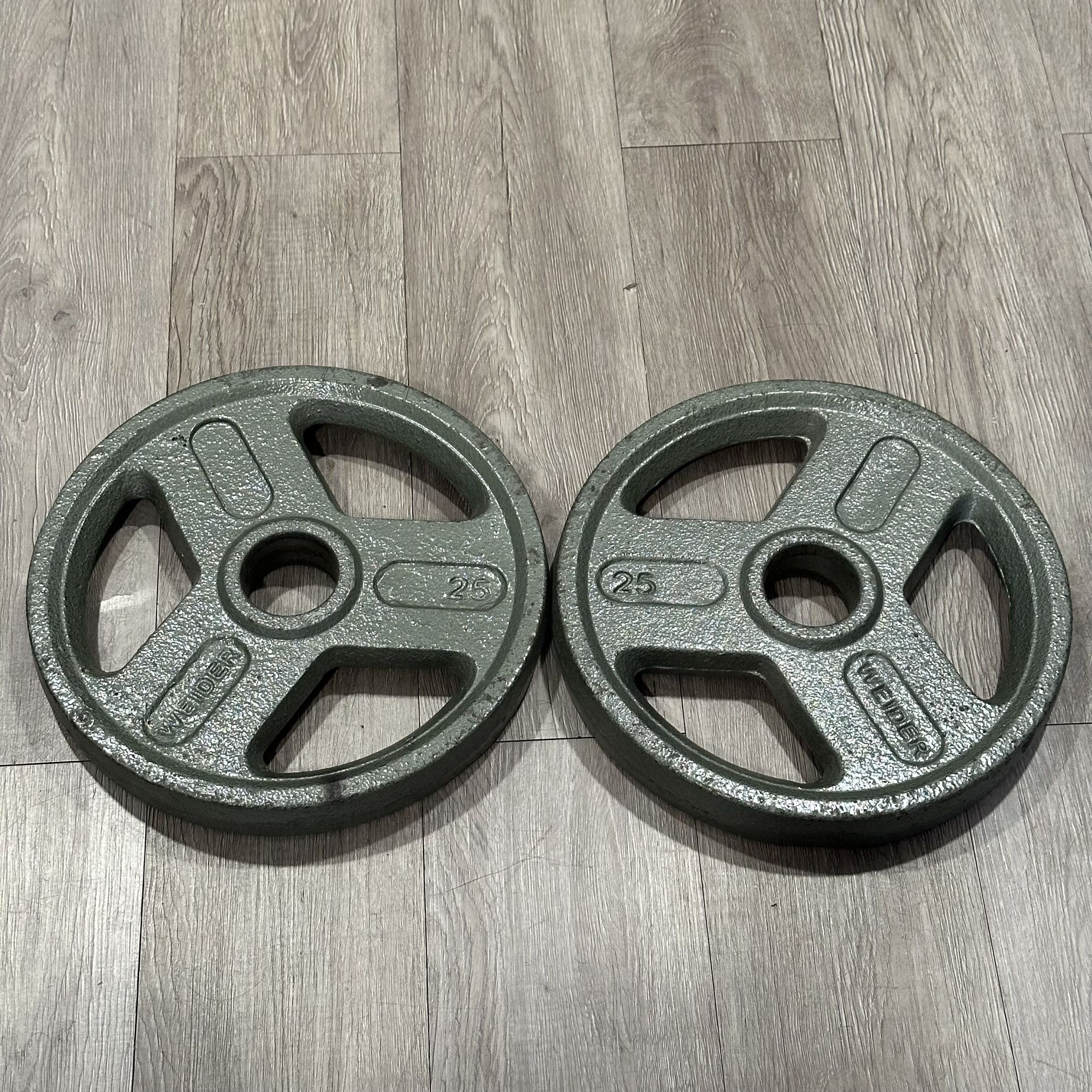 Weider 25lbs Weight Plates (Pair)