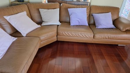 Nattuzi Edition SoFa Brown