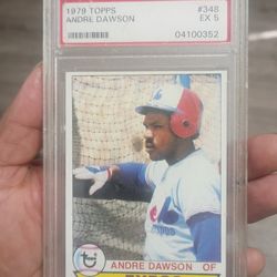 andre dawson 1979  baseball