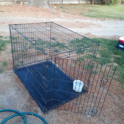 Large Dog Kennel 