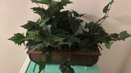 Plant