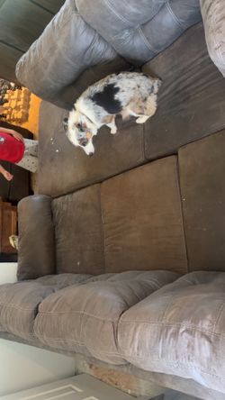 L-shaped Couch