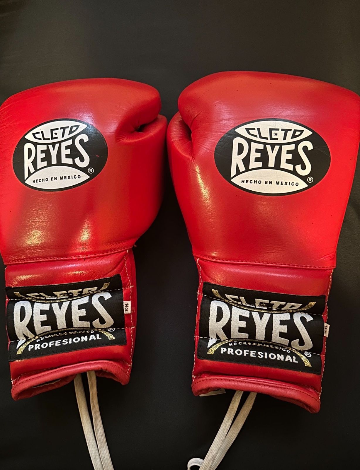 Reyes Boxing Gloves
