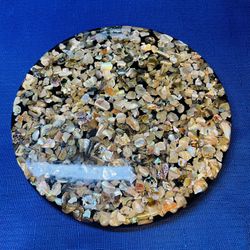 Vintage Acrylic Resin Lucite Seashell Round Trivet 