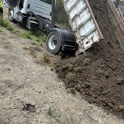 DIRT AND DELIVERY FREE 