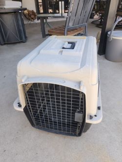Dog Kennel