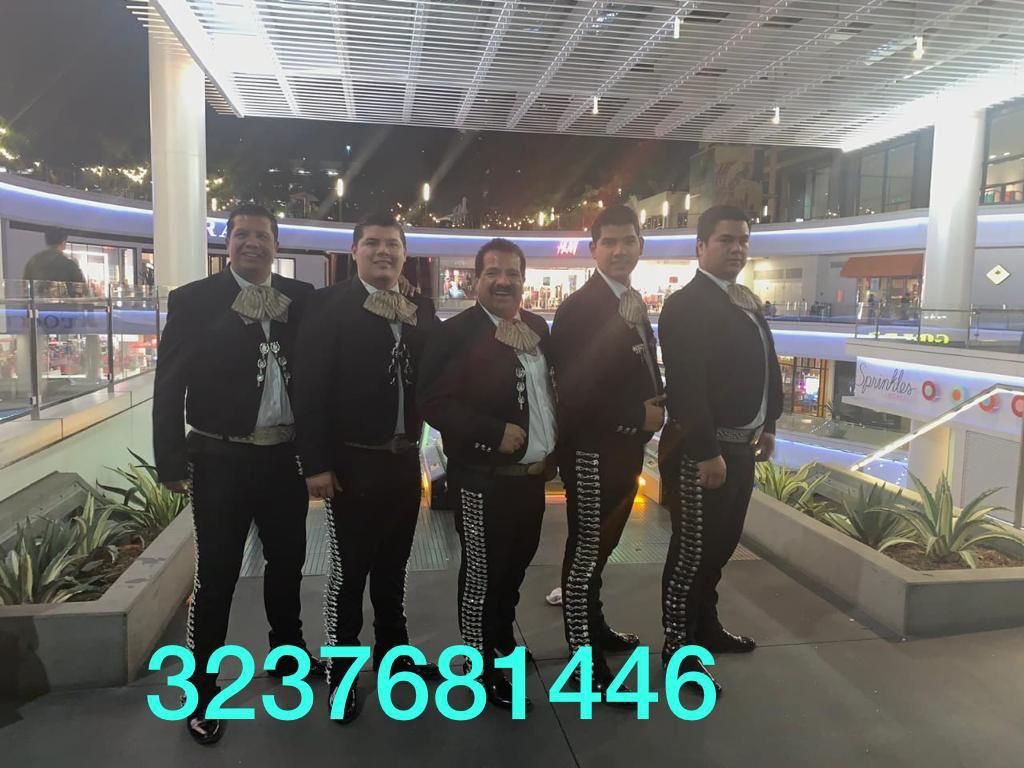 Vihuela Violín Mariachi 