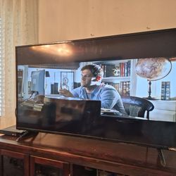 VIZIO TV 44 inches And DVD Player. Work Perfectly. 