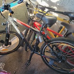 Electric Bike 