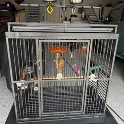 Bird Cage And top perch 