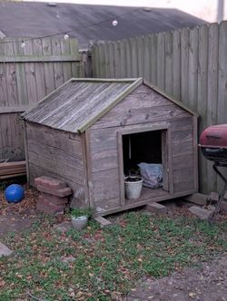 Xl Dog House