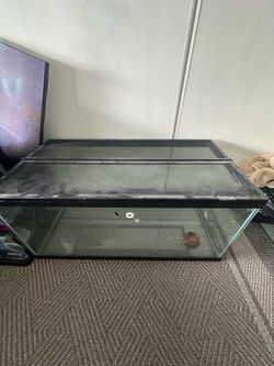 Terrarium/ Aquarium  40 gallon