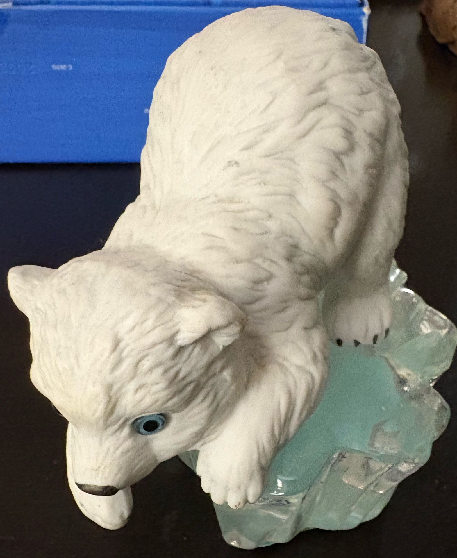 Little Polar Bear On Piece Of Ice