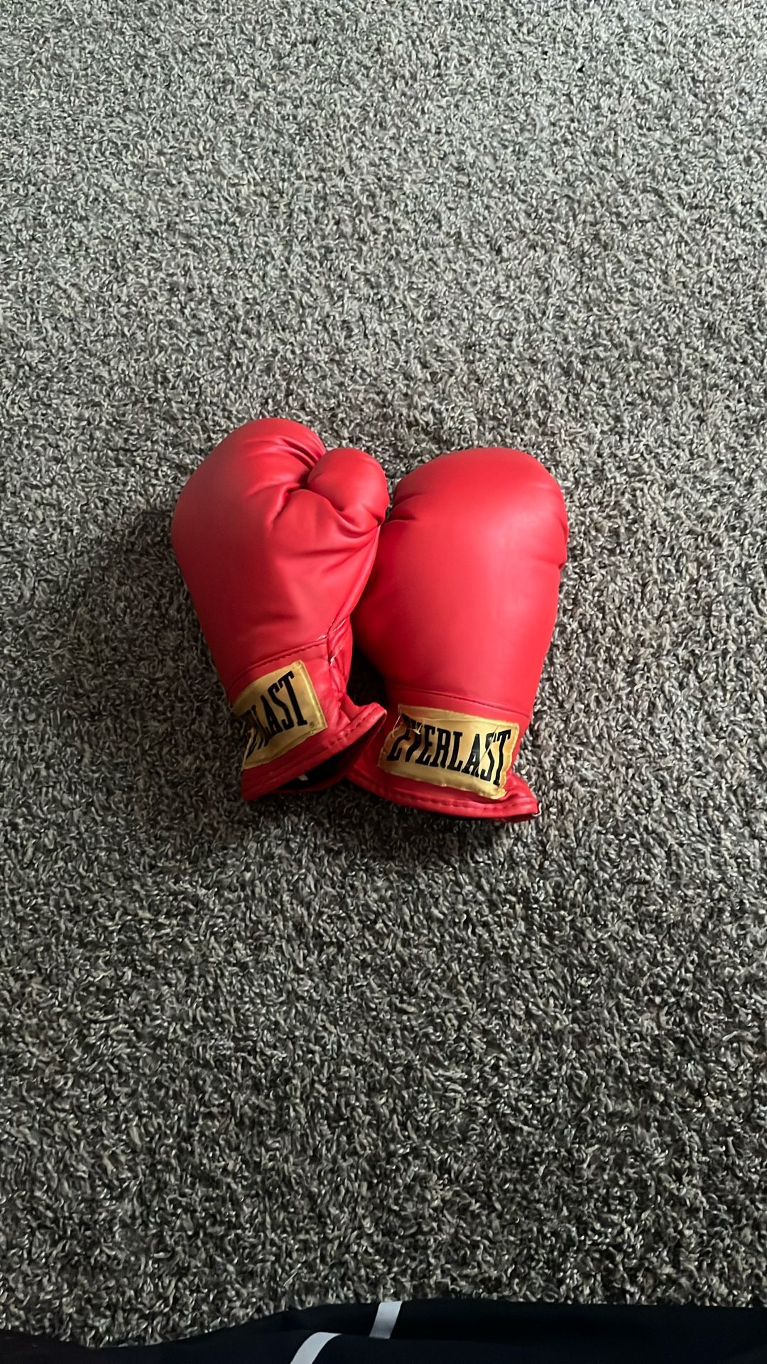 Red Everlast Boxing Gloves / Used