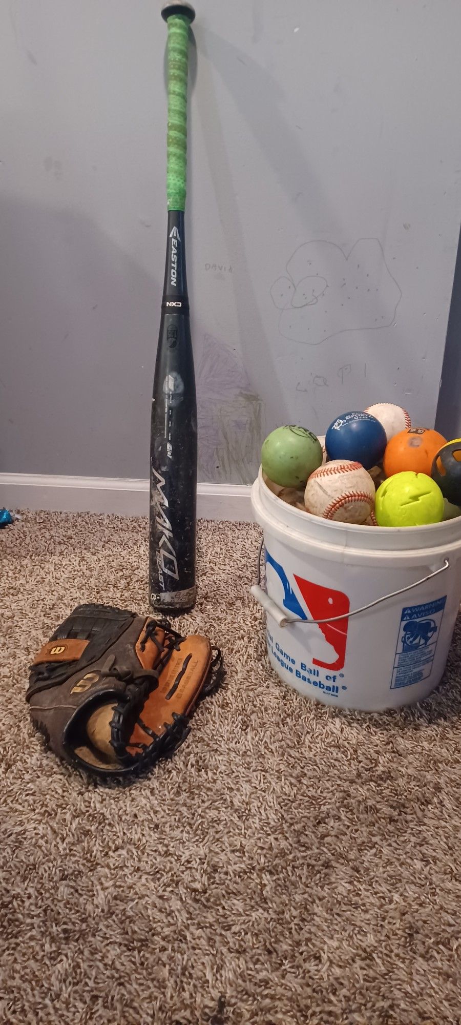 Baseballs, Bat and Glove