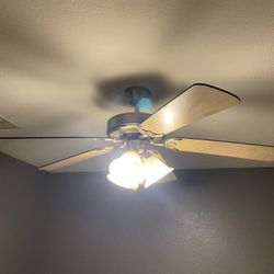 Ceiling fan