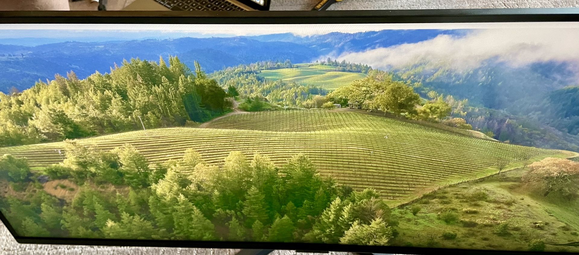 Samsung 34” Monitor