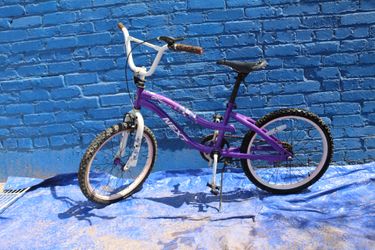 Next Girl Talk 20-Inch Bicycle  