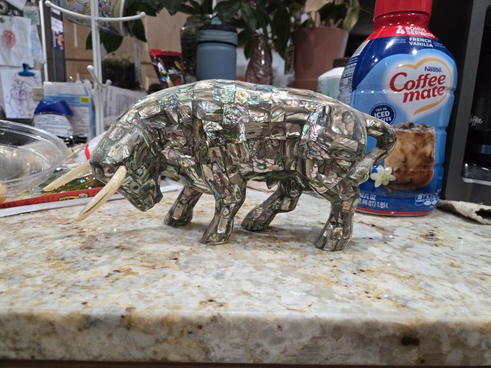 Abalone Bull
