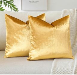 2 Pillow Cases With Pillow  