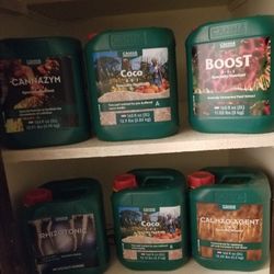 Canna Plant Nutrition 