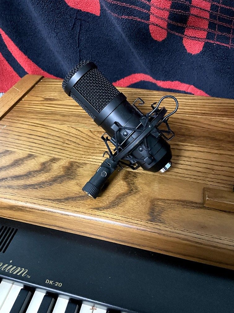 Large Diaphragm microphone