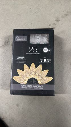 Celebrations Platinum LED C9 Light String 25 Bulbs