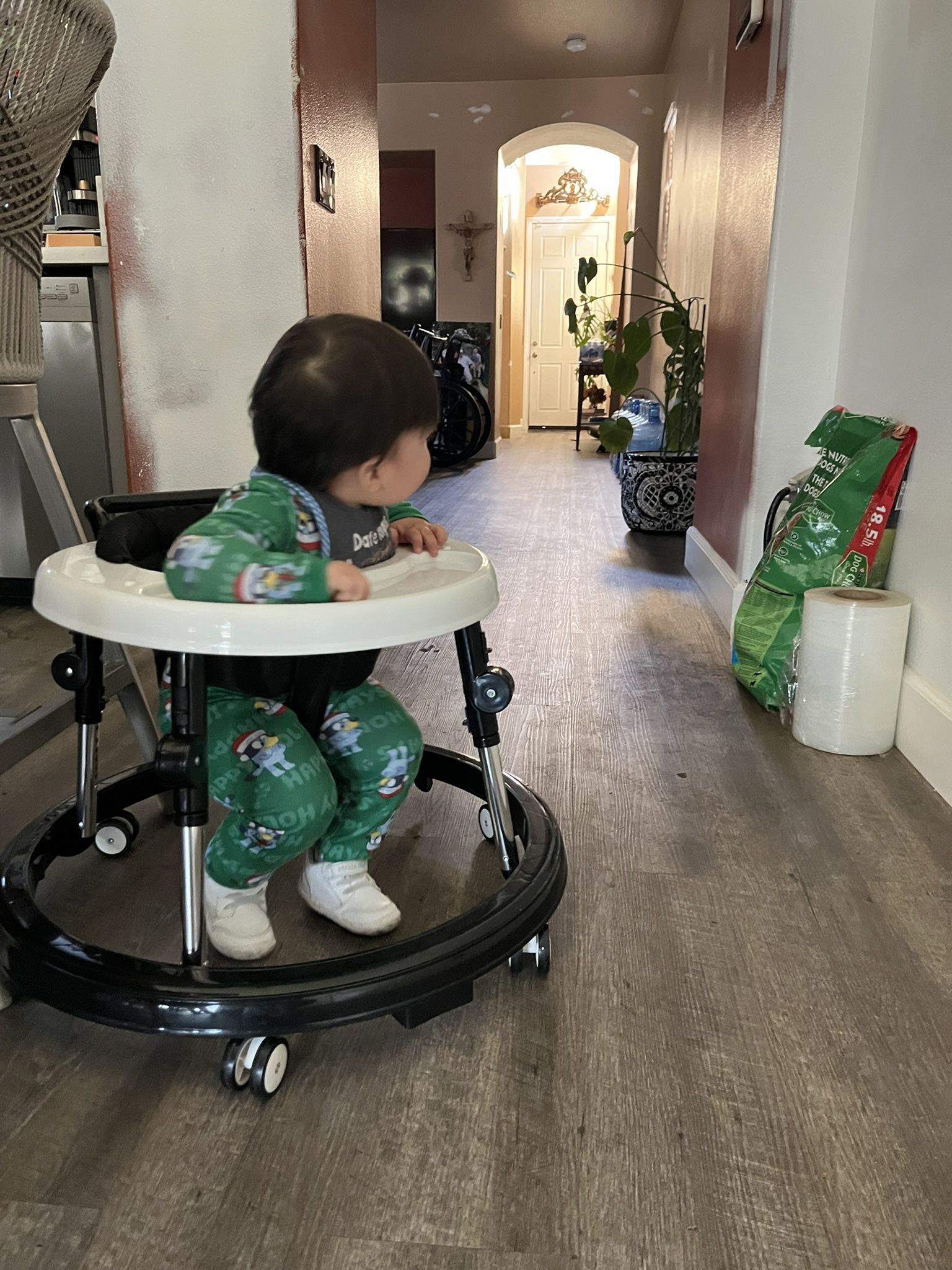 Baby Walker