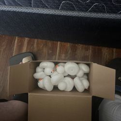 36pk Ducks With Glasses