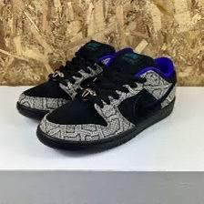 Nike SB Dashawn Jordan Size 10.5