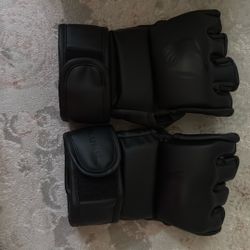 MMA/Boxing Gloves S/M
