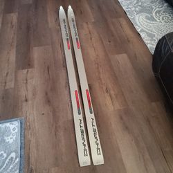 VTG 1993 Dynasty Acrylic Core Dynasty Omega Speed Skis.