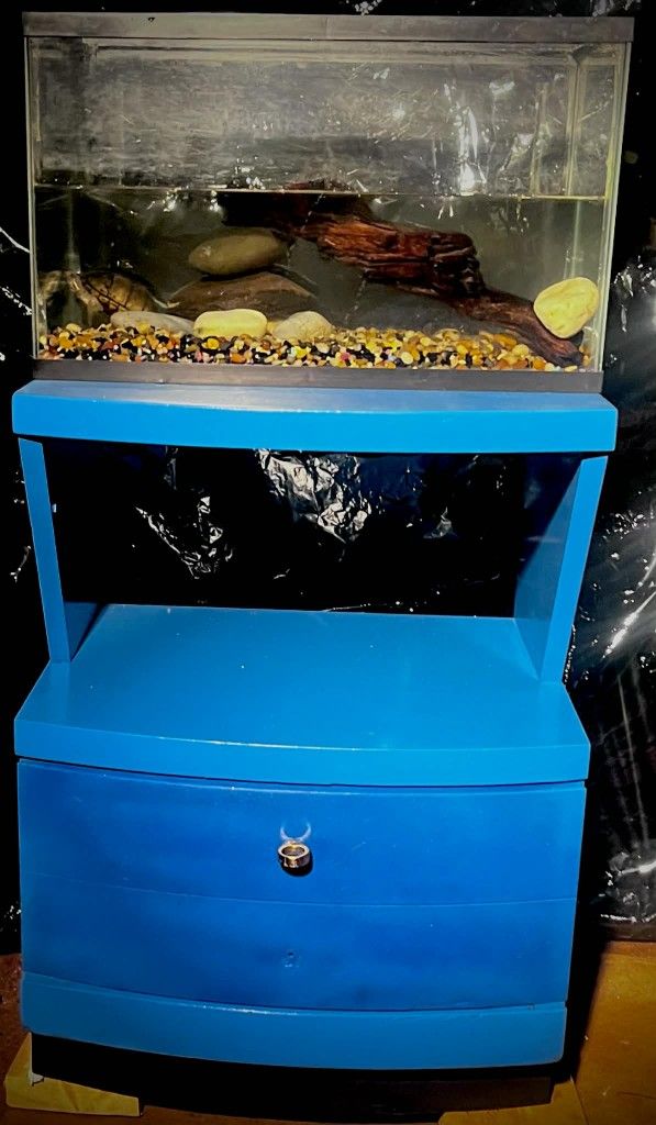 Fish Tank And Stand