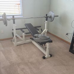 Weights Bench Bar Workout