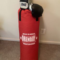 Used professional Orenday Punching bag & Gloves 