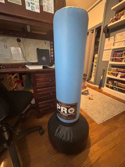Freestand Punching Bag Professional