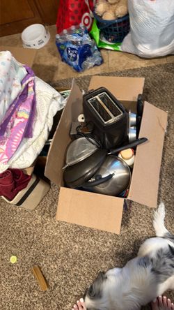 Pans , plates odds n ends.