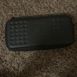 Nintendo Case