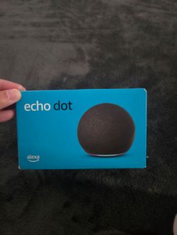 Alexander Echo Dot