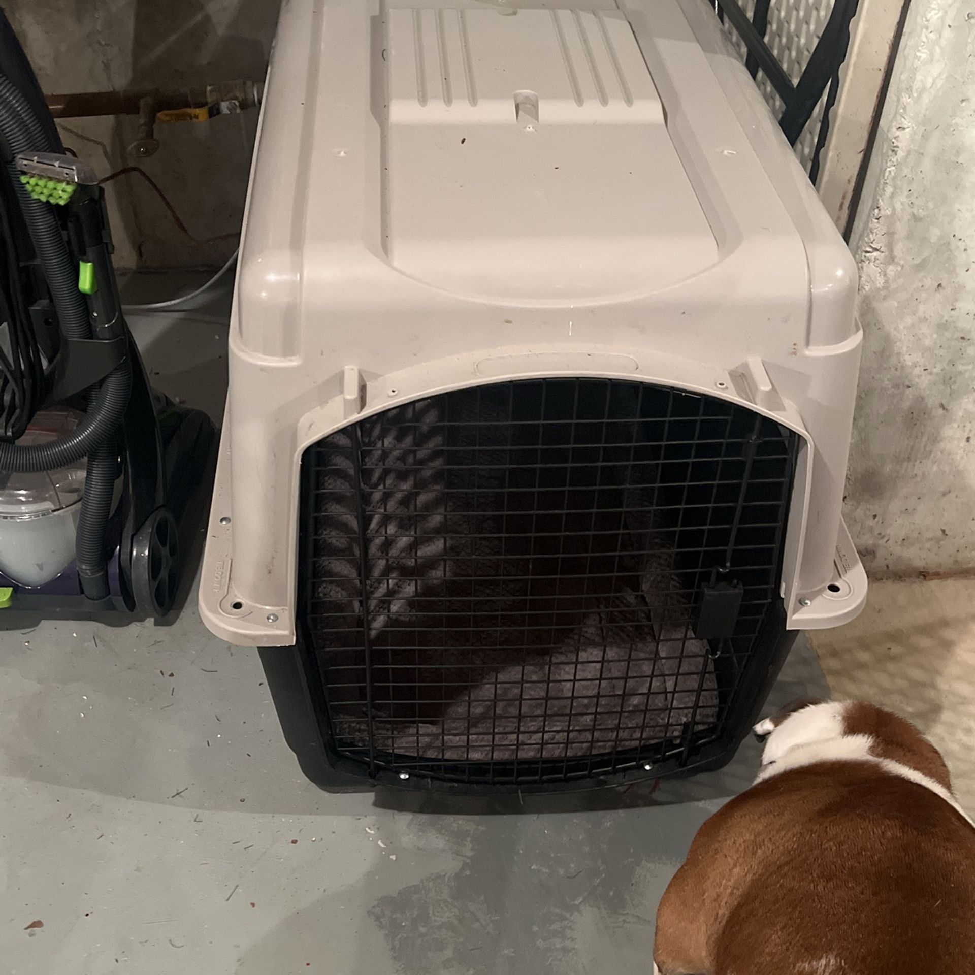 Dog Crate Extra Extra Large