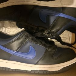 Nike dunks brand new