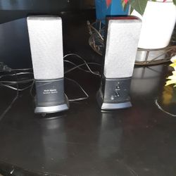 Bocinas Pequeñas 