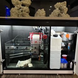 Redsea 425xl Complete Set Up 