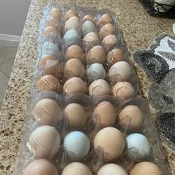 Fresh eggs/ Huevos 