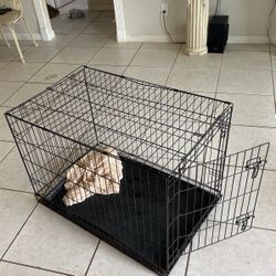 Dog Cage 