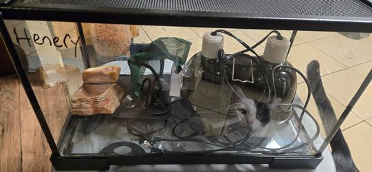 Complete Reptile Aquarium Setup Kit