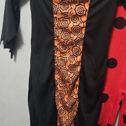 Miraculous Lady Bug  Outfit And Witch Dress