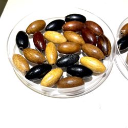 22mm Wooden Barrel Beads