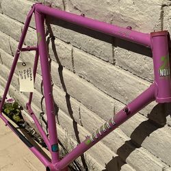 Novara Team Novara Road Bicycle Frame 56cm Classic Lugged Steel From The 80’s